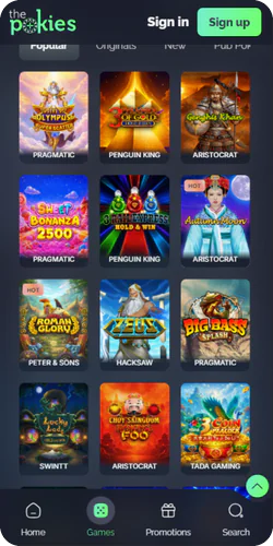The Pokies net All games