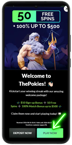 The Pokies net Completion of registration